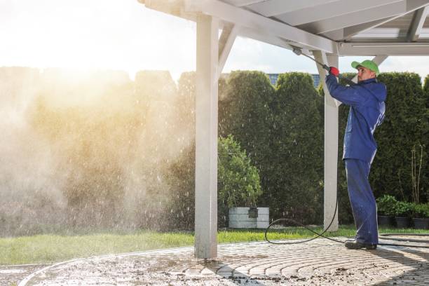 Best Restaurant Pressure Washing  in Forest, OH
